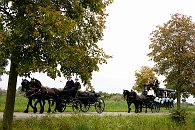 Foto uit de trouwreportage van Alie & Bertus