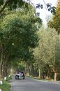 Foto uit de trouwreportage van Francien & Manfred